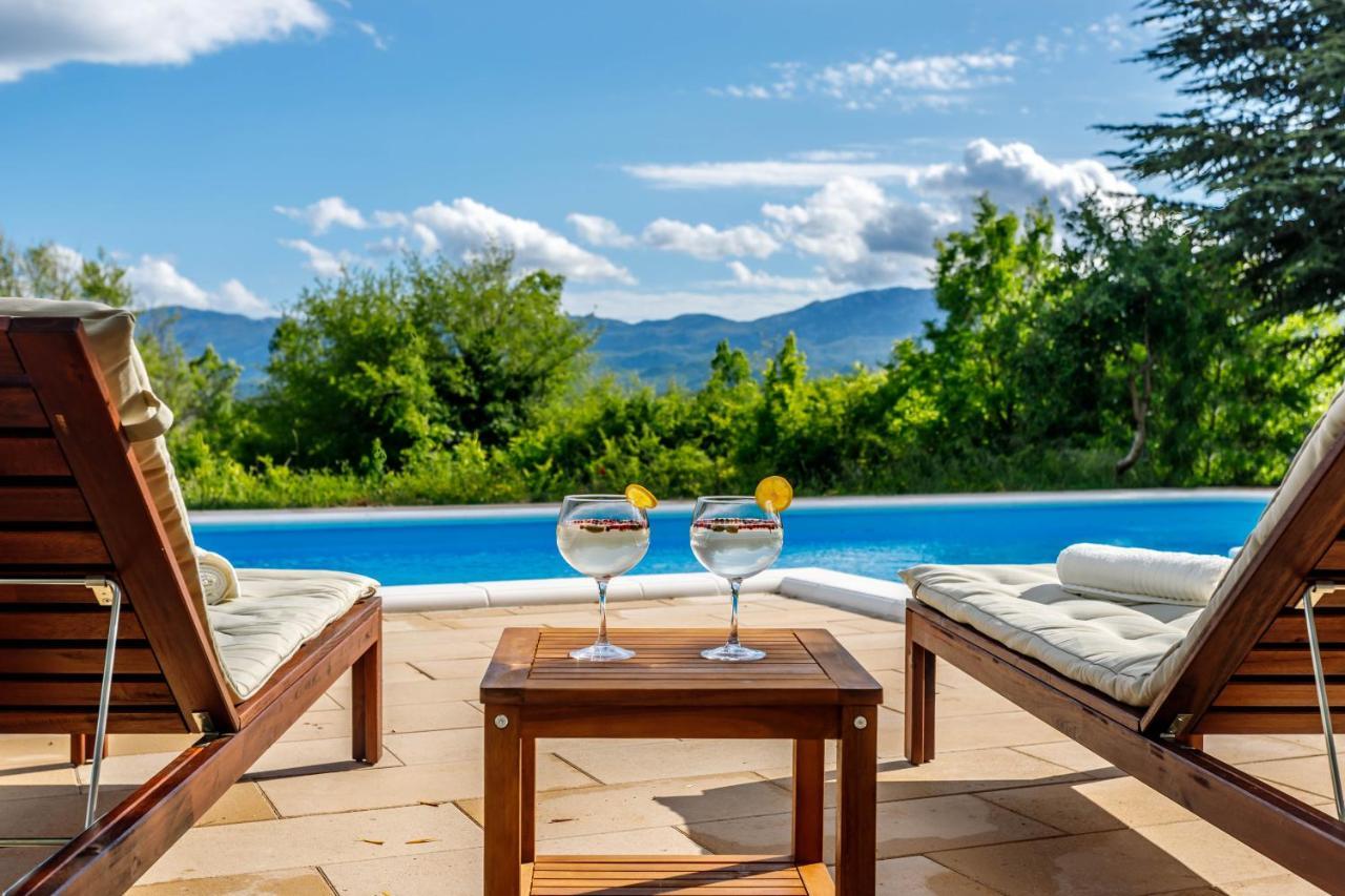 Вилла Casa Di Oliva-House With Heated Pool & Jacuzzi In Trilj, Croatia Экстерьер фото