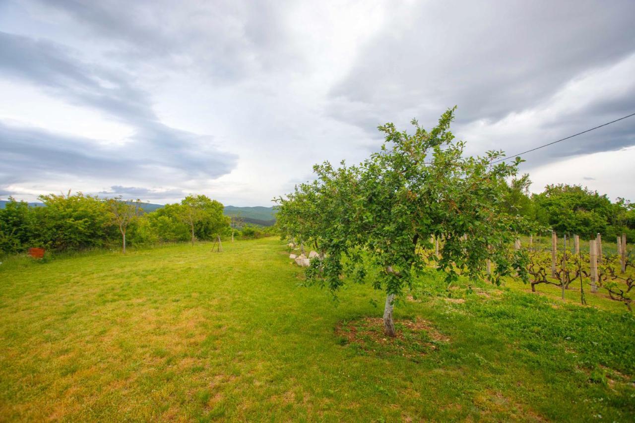 Вилла Casa Di Oliva-House With Heated Pool & Jacuzzi In Trilj, Croatia Экстерьер фото