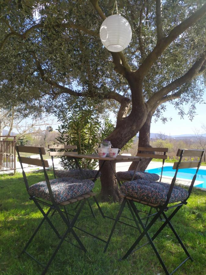 Вилла Casa Di Oliva-House With Heated Pool & Jacuzzi In Trilj, Croatia Экстерьер фото