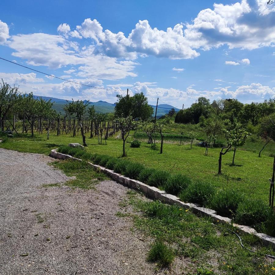 Вилла Casa Di Oliva-House With Heated Pool & Jacuzzi In Trilj, Croatia Экстерьер фото